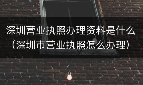 深圳营业执照办理资料是什么（深圳市营业执照怎么办理）