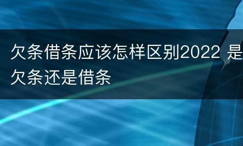 欠条借条应该怎样区别2022 是欠条还是借条