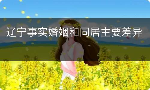 辽宁事实婚姻和同居主要差异