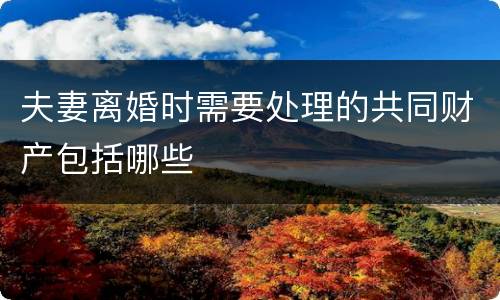 夫妻离婚时需要处理的共同财产包括哪些