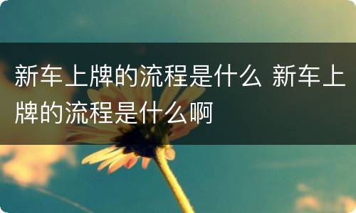 新车上牌的流程是什么 新车上牌的流程是什么啊