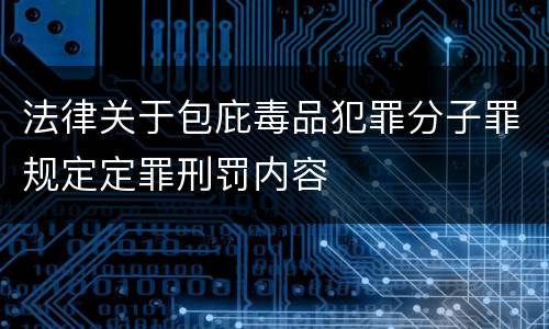 法律关于包庇毒品犯罪分子罪规定定罪刑罚内容