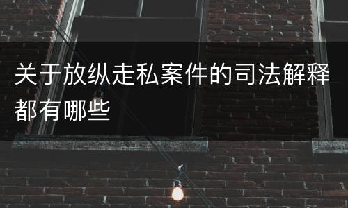 关于放纵走私案件的司法解释都有哪些