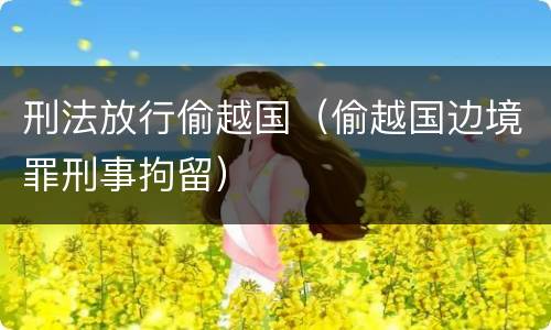 刑法放行偷越国（偷越国边境罪刑事拘留）