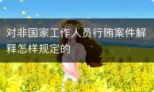 对非国家工作人员行贿案件解释怎样规定的
