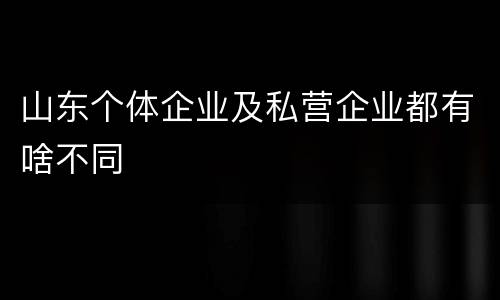 山东个体企业及私营企业都有啥不同