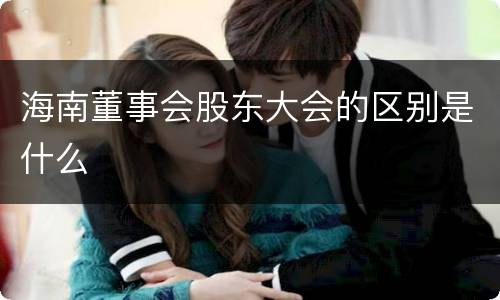 海南董事会股东大会的区别是什么