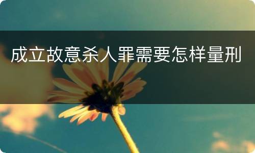 成立故意杀人罪需要怎样量刑