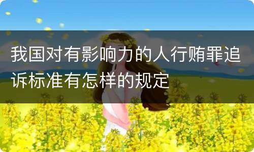 我国对有影响力的人行贿罪追诉标准有怎样的规定