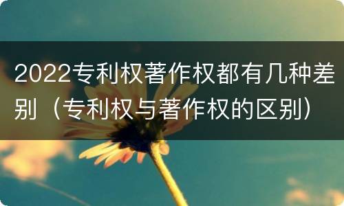 2022专利权著作权都有几种差别（专利权与著作权的区别）