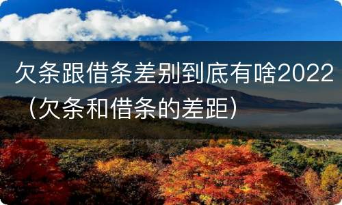 欠条跟借条差别到底有啥2022（欠条和借条的差距）
