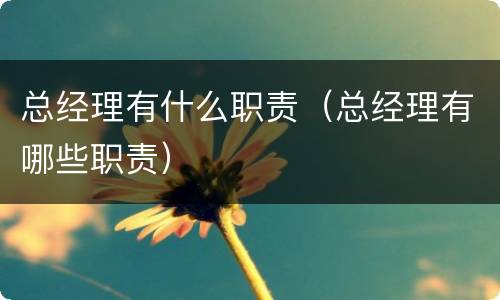 总经理有什么职责（总经理有哪些职责）