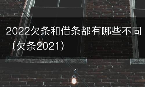 2022欠条和借条都有哪些不同（欠条2021）