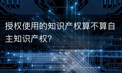 授权使用的知识产权算不算自主知识产权？