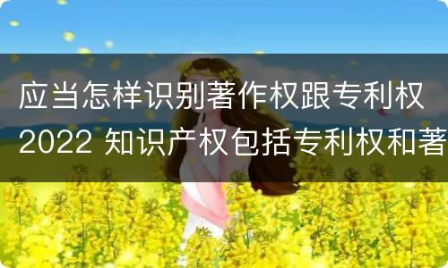 应当怎样识别著作权跟专利权2022 知识产权包括专利权和著作权吗