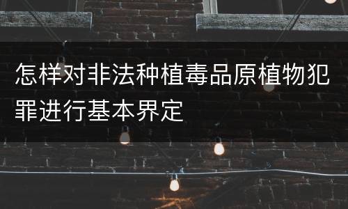 怎样对非法种植毒品原植物犯罪进行基本界定