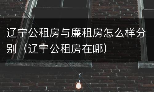 辽宁公租房与廉租房怎么样分别（辽宁公租房在哪）
