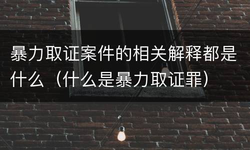 暴力取证案件的相关解释都是什么（什么是暴力取证罪）