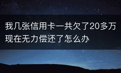 我几张信用卡一共欠了20多万现在无力偿还了怎么办