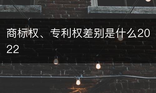 商标权、专利权差别是什么2022