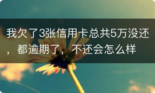 我欠了3张信用卡总共5万没还，都逾期了，不还会怎么样