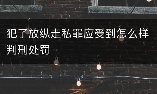 犯了放纵走私罪应受到怎么样判刑处罚