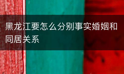 黑龙江要怎么分别事实婚姻和同居关系