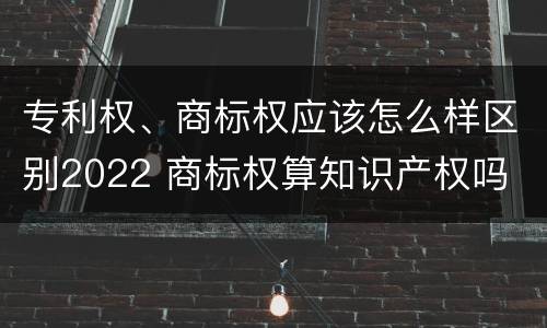 专利权、商标权应该怎么样区别2022 商标权算知识产权吗