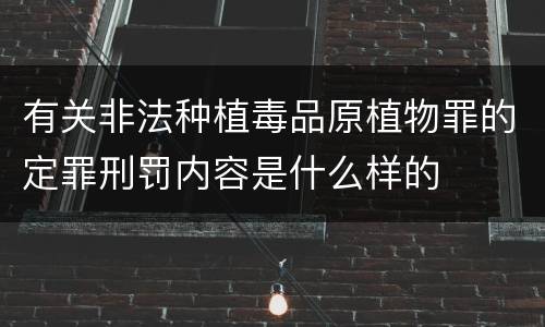 有关非法种植毒品原植物罪的定罪刑罚内容是什么样的