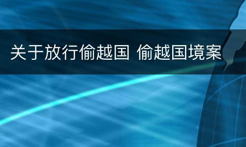 关于放行偷越国 偷越国境案
