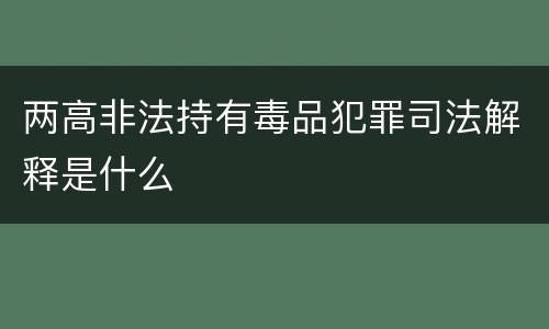 两高非法持有毒品犯罪司法解释是什么