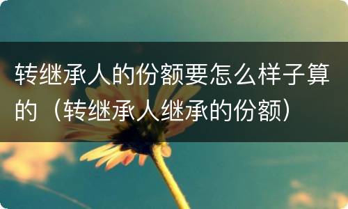 转继承人的份额要怎么样子算的（转继承人继承的份额）