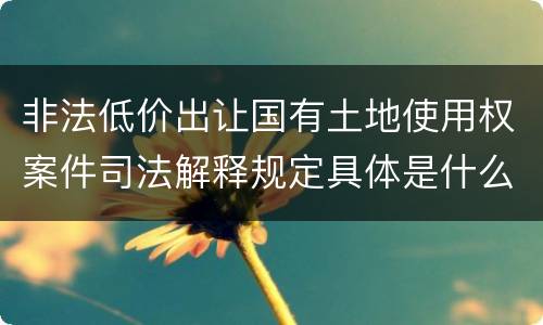 非法低价出让国有土地使用权案件司法解释规定具体是什么重要内容