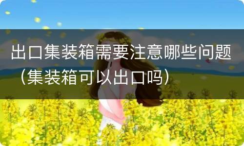 出口集装箱需要注意哪些问题（集装箱可以出口吗）