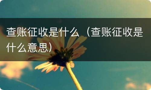 查账征收是什么（查账征收是什么意思）