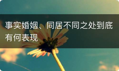 事实婚姻、同居不同之处到底有何表现