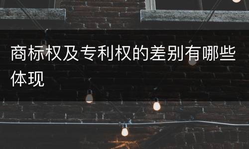 商标权及专利权的差别有哪些体现