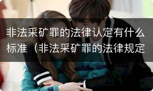 非法采矿罪的法律认定有什么标准（非法采矿罪的法律规定）