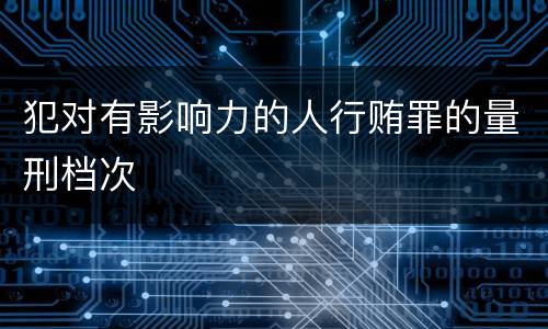 犯对有影响力的人行贿罪的量刑档次