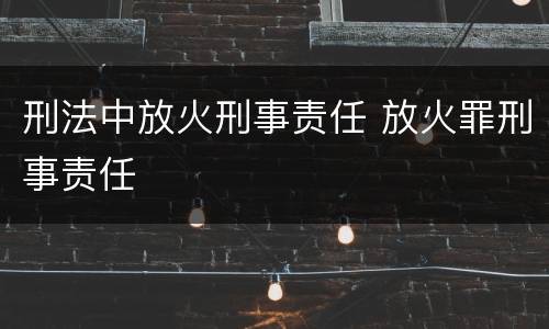 刑法中放火刑事责任 放火罪刑事责任