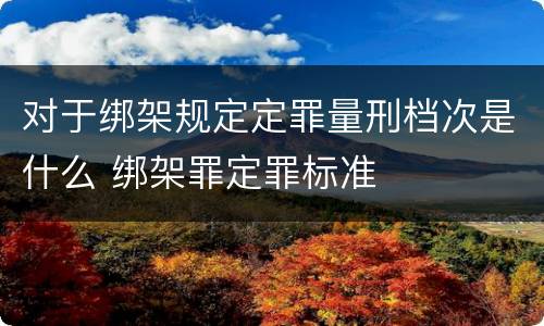 对于绑架规定定罪量刑档次是什么 绑架罪定罪标准