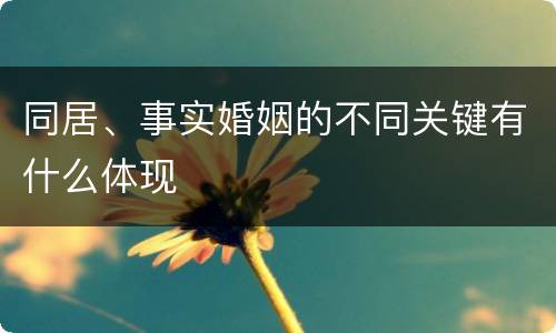 同居、事实婚姻的不同关键有什么体现