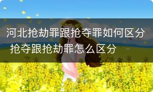河北抢劫罪跟抢夺罪如何区分 抢夺跟抢劫罪怎么区分