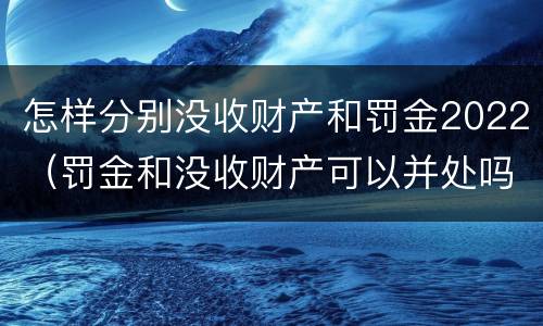 怎样分别没收财产和罚金2022（罚金和没收财产可以并处吗）