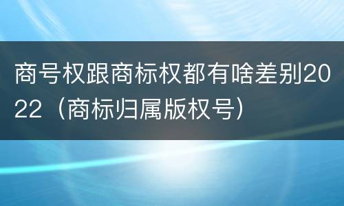 商号权跟商标权都有啥差别2022（商标归属版权号）