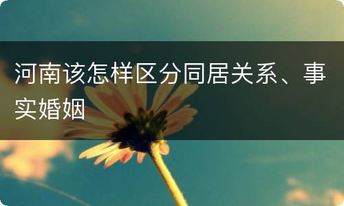 河南该怎样区分同居关系、事实婚姻