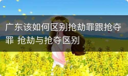 广东该如何区别抢劫罪跟抢夺罪 抢劫与抢夺区别