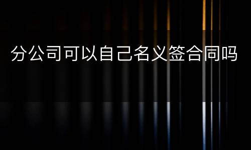 分公司可以自己名义签合同吗