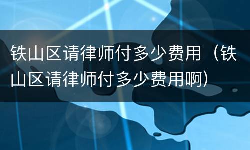铁山区请律师付多少费用（铁山区请律师付多少费用啊）