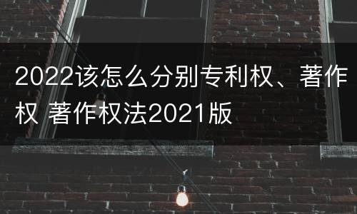 2022该怎么分别专利权、著作权 著作权法2021版